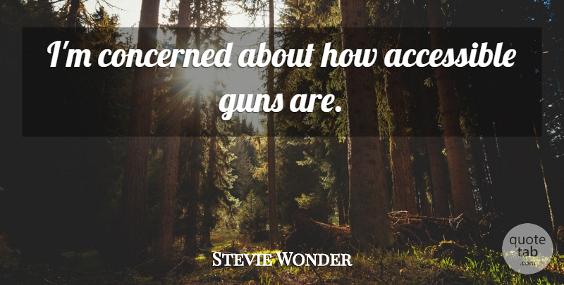 Stevie Wonder Quote About Gun, Concerned: Im Concerned About How Accessible...