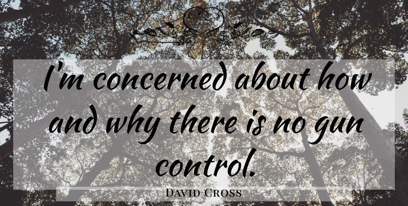 David Cross Quote About Gun, Gun Control, Concerned: Im Concerned About How And...