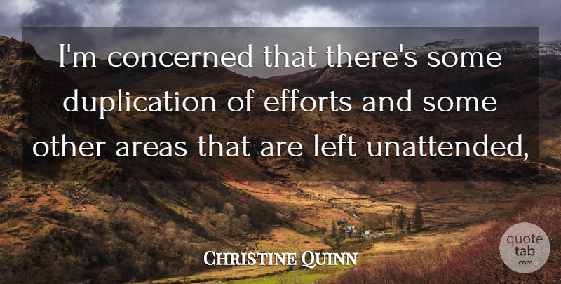 Christine Quinn Quote About Areas, Concerned, Efforts, Left: Im Concerned That Theres Some...