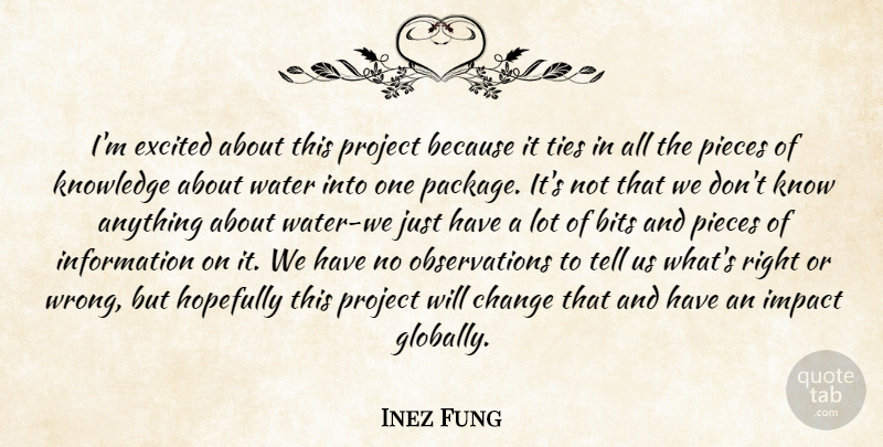 Inez Fung Quote About Bits, Change, Excited, Hopefully, Impact: Im Excited About This Project...