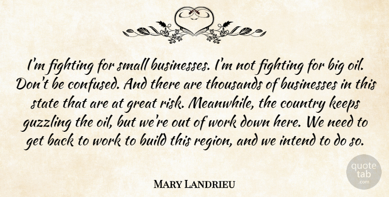 Mary Landrieu Quote About Country, Confused, Fighting: Im Fighting For Small Businesses...