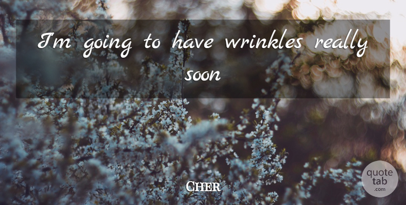 Cher Quote About Wrinkles: Im Going To Have Wrinkles...