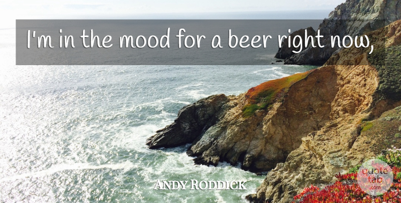 Andy Roddick Quote About Beer, Mood: Im In The Mood For...