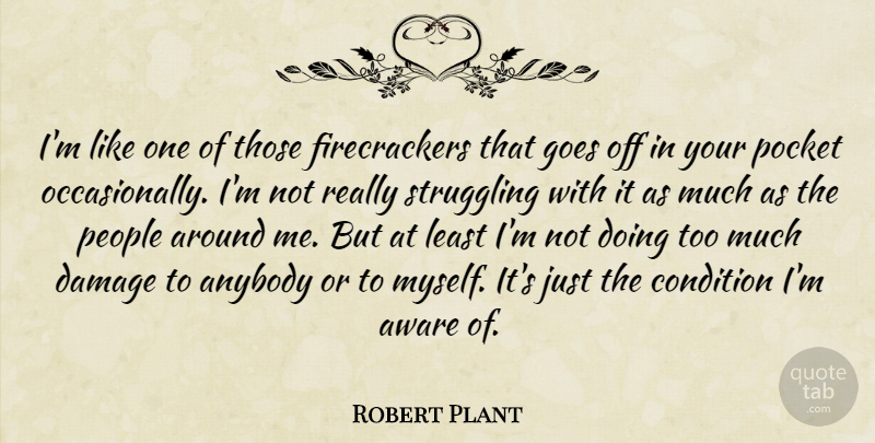 Robert Plant Quote About Struggle, People, Too Much: Im Like One Of Those...