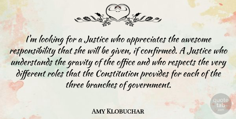 Amy Klobuchar Quote About Responsibility, Government, Appreciate: Im Looking For A Justice...