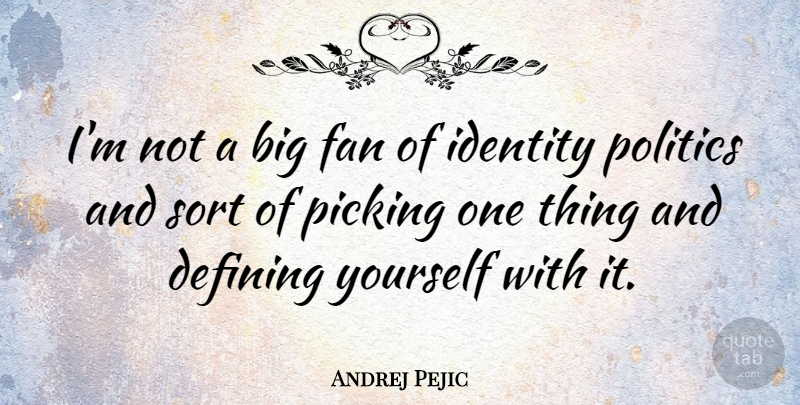 Andrej Pejic Quote About Identity Politics, Defining, Fans: Im Not A Big Fan...