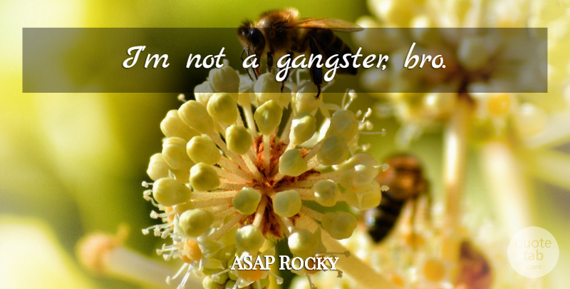 ASAP Rocky Quote About Bros, Gangsters: Im Not A Gangster Bro...
