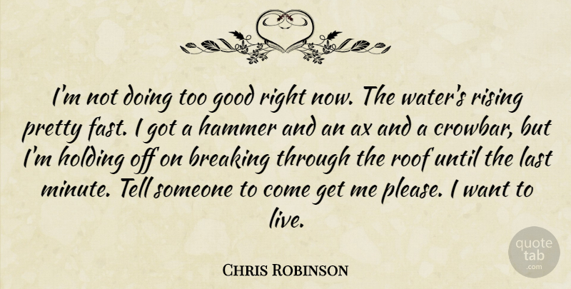 Chris Robinson Quote About Breaking, Good, Hammer, Holding, Last: Im Not Doing Too Good...