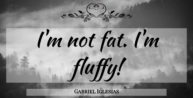 Gabriel Iglesias Quote About Fluffy, Fats: Im Not Fat Im Fluffy...