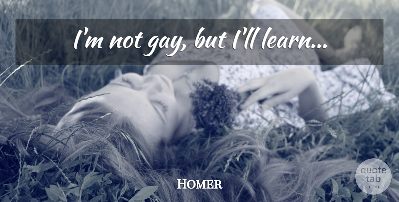 Homer Quote About Gay: Im Not Gay But Ill...