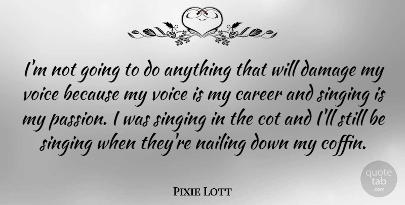 Pixie Lott Quote About Damage, Singing: Im Not Going To Do...