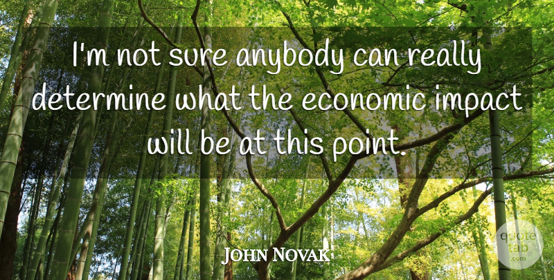John Novak Quote About Anybody, Determine, Economic, Impact, Sure: Im Not Sure Anybody Can...