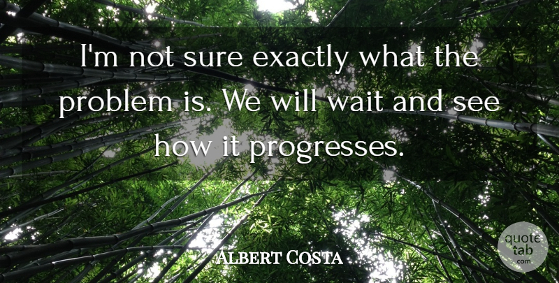 Albert Costa Quote About Exactly, Problem, Sure, Wait: Im Not Sure Exactly What...