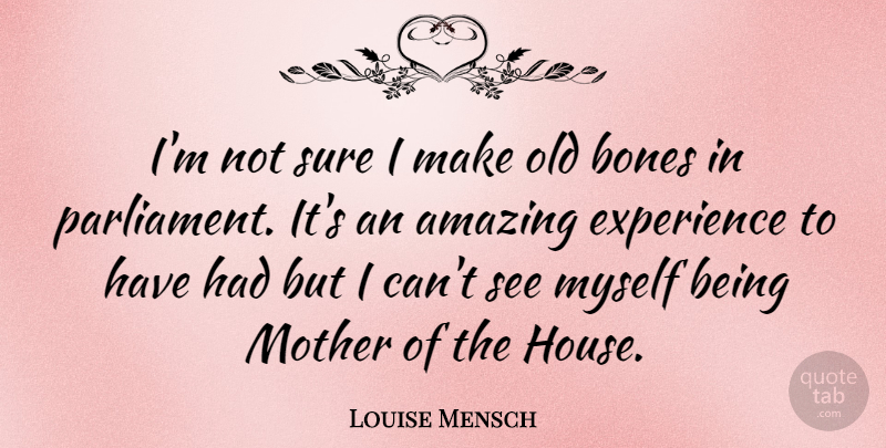 Louise Mensch Quote About Mother, House, Bones: Im Not Sure I Make...
