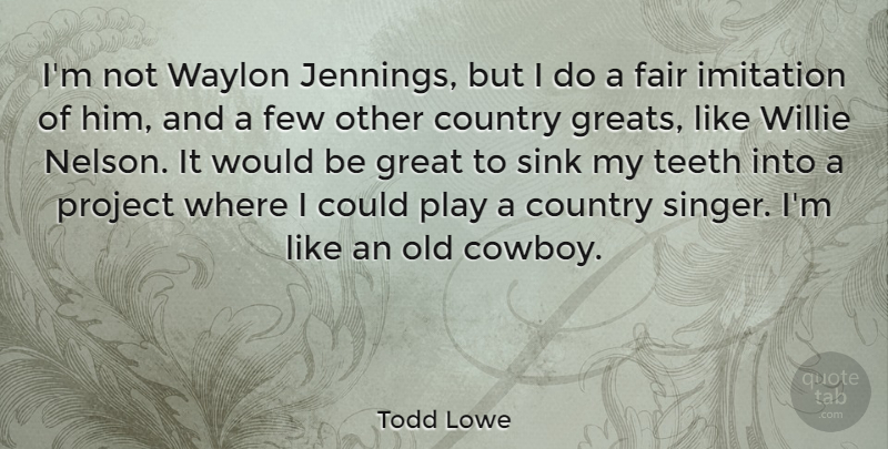 Todd Lowe Quote About Country, Few, Great, Project, Sink: Im Not Waylon Jennings But...