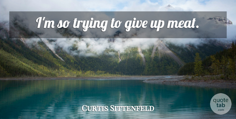 Curtis Sittenfeld Quote About Giving Up, Giving, Trying: Im So Trying To Give...