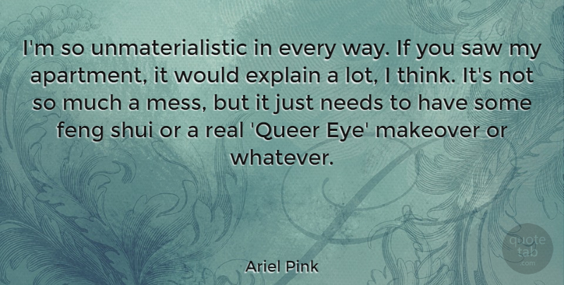 Ariel Pink Quote About Explain, Needs, Saw: Im So Unmaterialistic In Every...