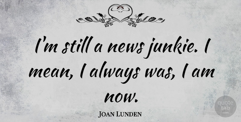 Joan Lunden Quote About Mean, News, Junkie: Im Still A News Junkie...