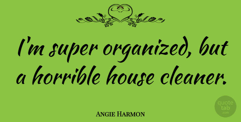 Angie Harmon Quote About House, Horrible, Cleaners: Im Super Organized But A...