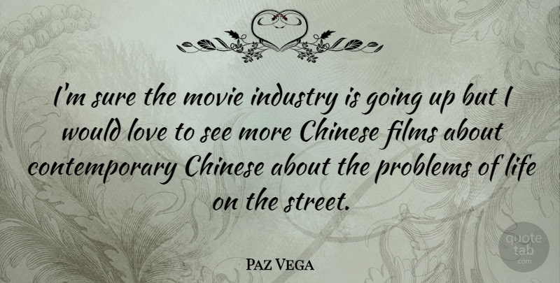 Paz Vega Quote About Chinese, Film, Problem: Im Sure The Movie Industry...