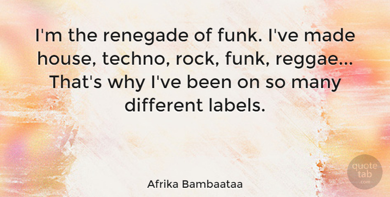 Afrika Bambaataa Quote About Renegade: Im The Renegade Of Funk...