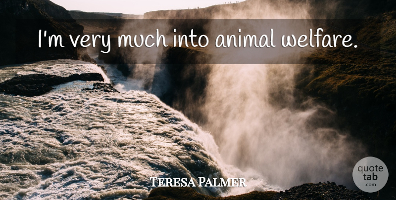 Teresa Palmer Quote About Animal, Welfare, Animal Welfare: Im Very Much Into Animal...