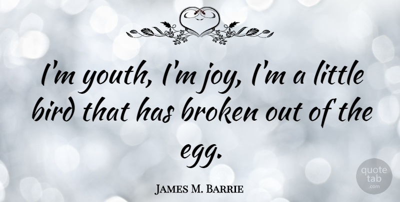 James M. Barrie Quote About Inspirational, Eggs, Broken: Im Youth Im Joy Im...