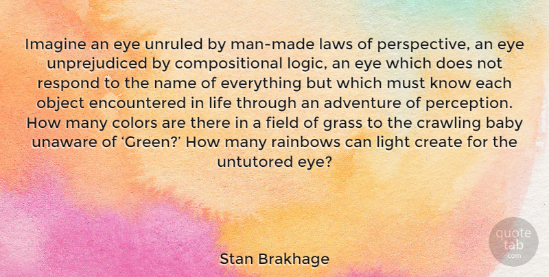 Stan Brakhage Quote About Baby, Adventure, Eye: Imagine An Eye Unruled By...