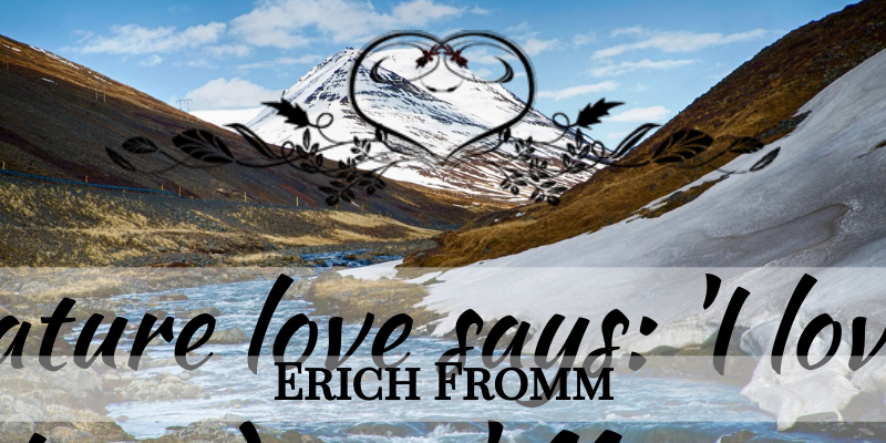 Erich Fromm Quote About Love, Life, Romantic: Immature Love Says I Love...