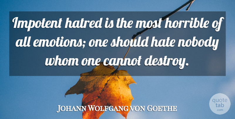 Johann Wolfgang von Goethe Quote About Hate, War, Hatred: Impotent Hatred Is The Most...