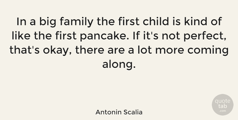 Antonin Scalia Quote About Children, Perfect, Big Families: In A Big Family The...