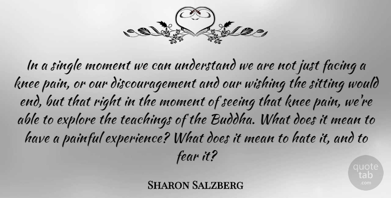 Sharon Salzberg Quote About Pain, Hate, Teaching: In A Single Moment We...
