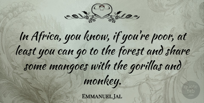 Emmanuel Jal Quote About Gorillas, Monkeys, Forests: In Africa You Know If...