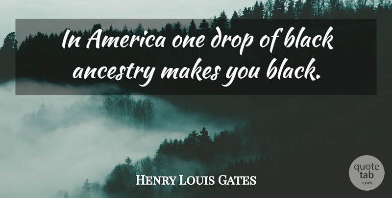 Henry Louis Gates Quote About America, Black, Ancestry: In America One Drop Of...