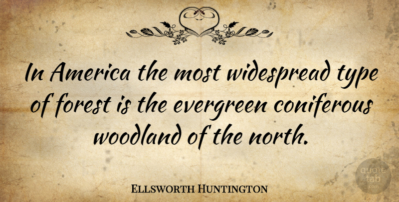 Ellsworth Huntington Quote About America, Forests, Type: In America The Most Widespread...