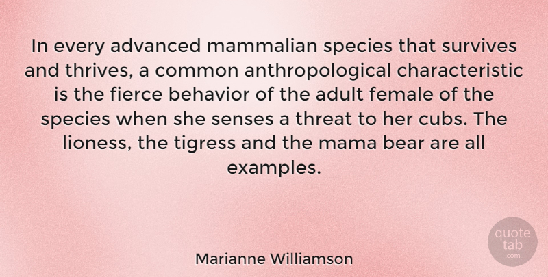 Marianne Williamson Quote About Adult, Advanced, Common, Female, Mama: In Every Advanced Mammalian Species...