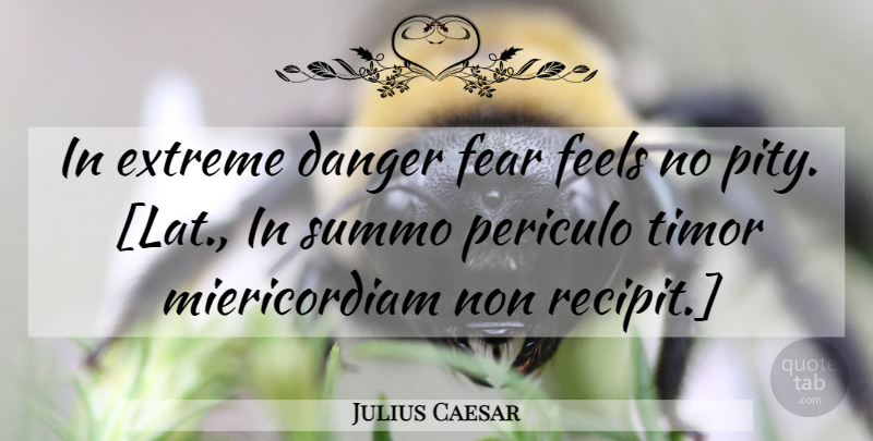 Julius Caesar Quote About Fear, Pity, Danger: In Extreme Danger Fear Feels...