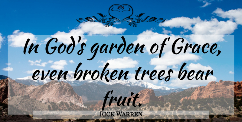 Rick Warren Quote About Garden, Broken, Tree: In Gods Garden Of Grace...