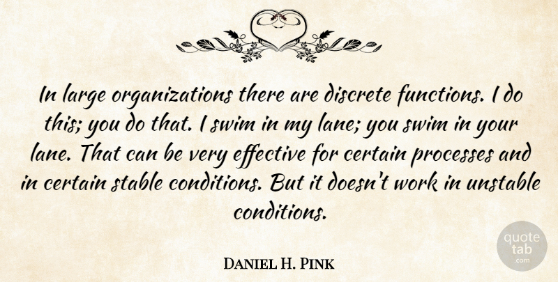 Daniel H. Pink Quote About Leadership, Organization, Swim: In Large Organizations There Are...