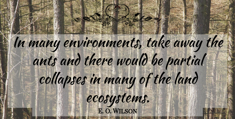 E. O. Wilson Quote About Land, Ecosystems, Ants: In Many Environments Take Away...