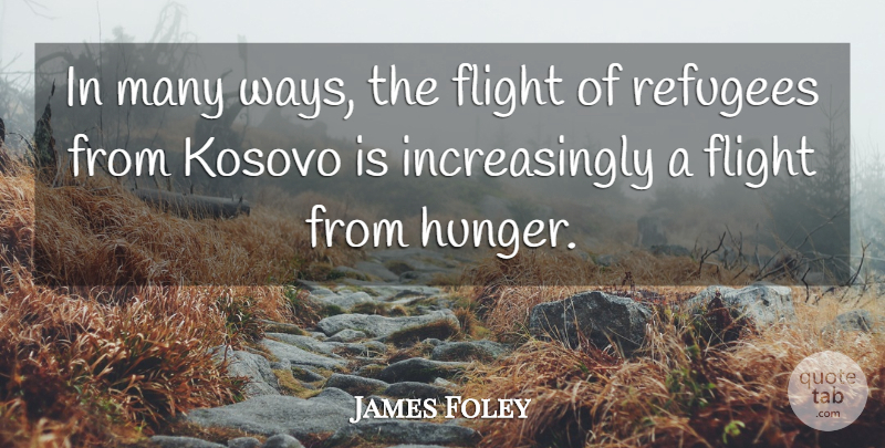 James Foley Quote About Flight, Hunger, Kosovo, Refugees: In Many Ways The Flight...