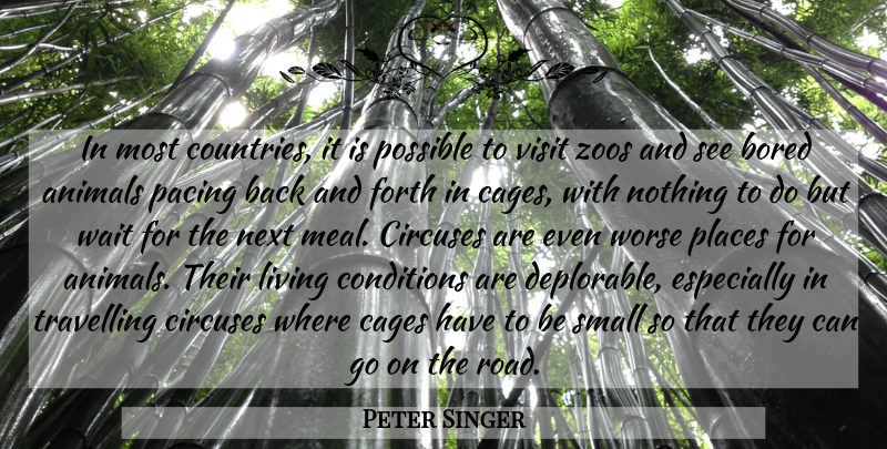 Peter Singer Quote About Animals, Bored, Conditions, Forth, Next: In Most Countries It Is...