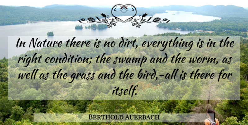 Berthold Auerbach Quote About Nature, Bird, Swamps: In Nature There Is No...