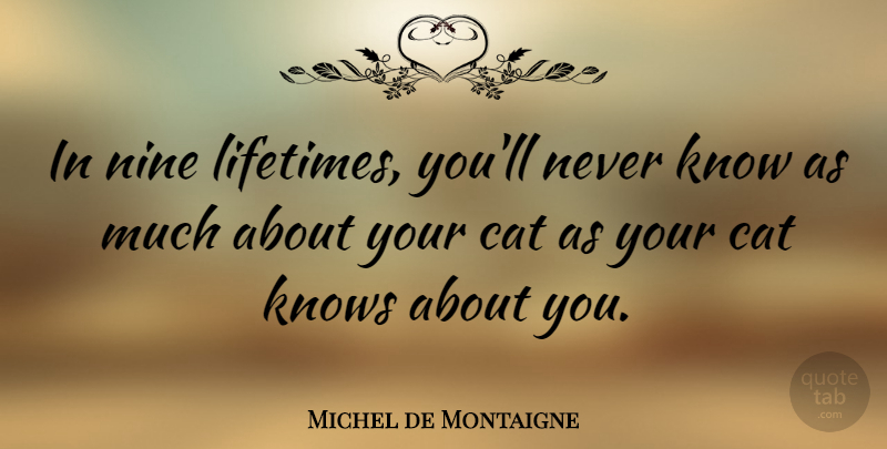 Michel de Montaigne Quote About Cat, Nine, Lifetime: In Nine Lifetimes Youll Never...