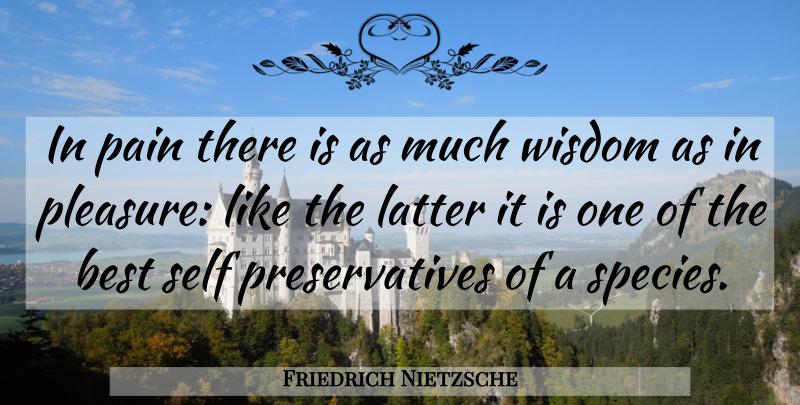 Friedrich Nietzsche Quote About Pain, Self, Suffering: In Pain There Is As...