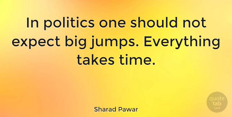 Sharad Pawar Quote About Should, Bigs, Take Time: In Politics One Should Not...