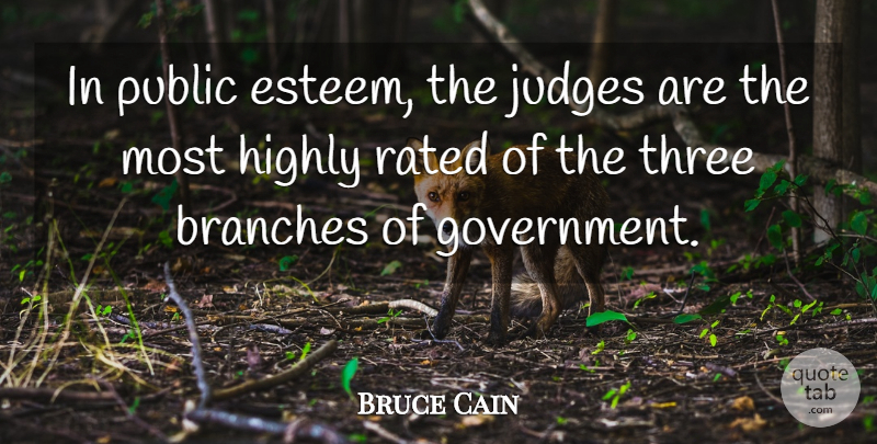 Bruce Cain Quote About Branches, Government, Highly, Judges, Public: In Public Esteem The Judges...