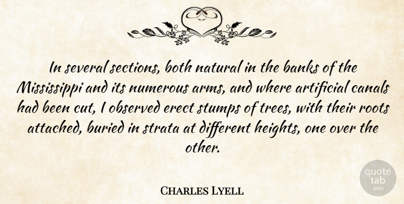 Charles Lyell Quote About Artificial, Banks, Both, Buried, Canals: In Several Sections Both Natural...
