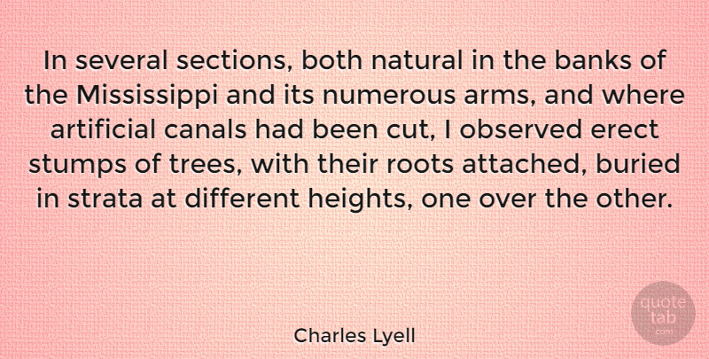Charles Lyell Quote About Artificial, Banks, Both, Buried, Canals: In Several Sections Both Natural...