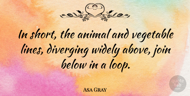 Asa Gray Quote About Animal, Vegetables, Lines: In Short The Animal And...
